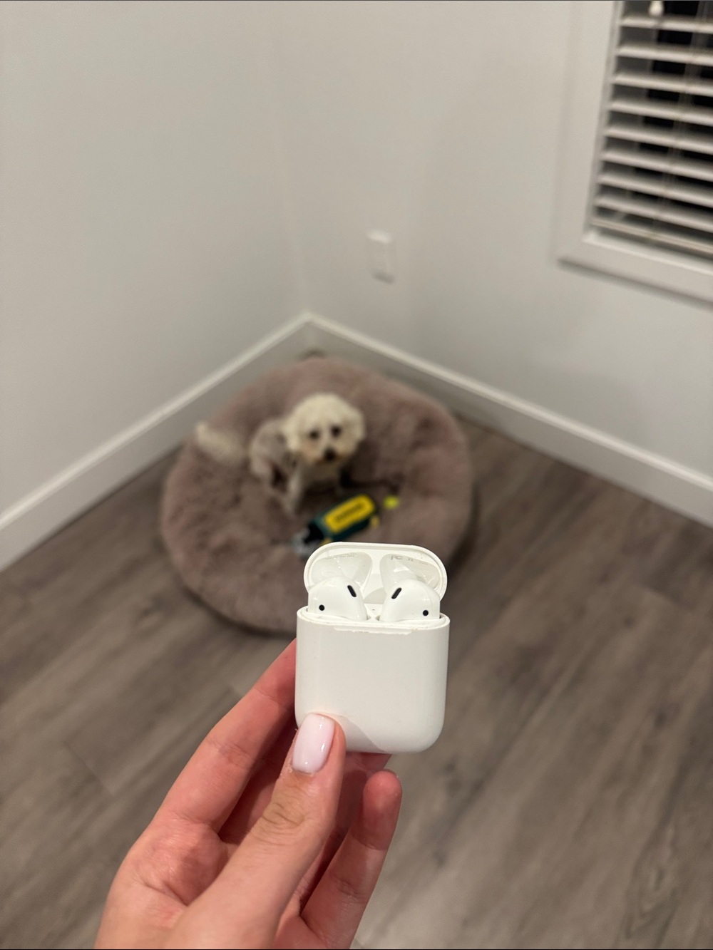 AIR PODS White Wireless Earbuds in Charging Case